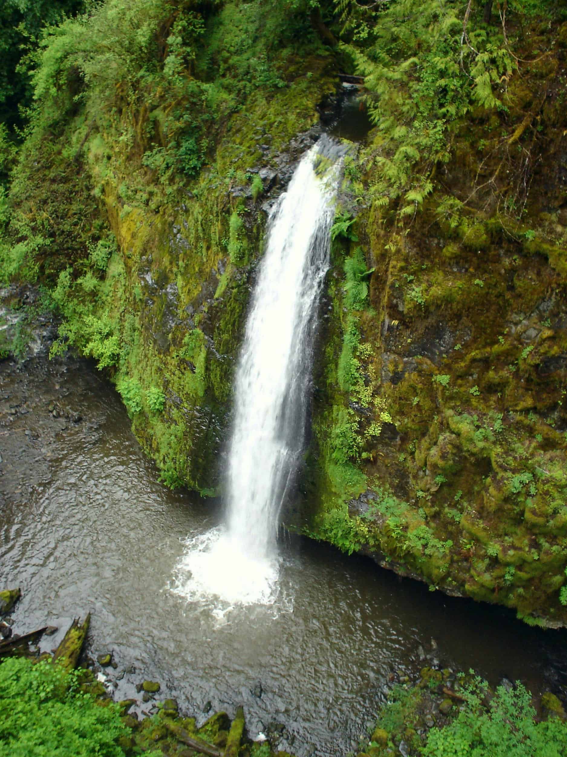 Drift Creek Falls