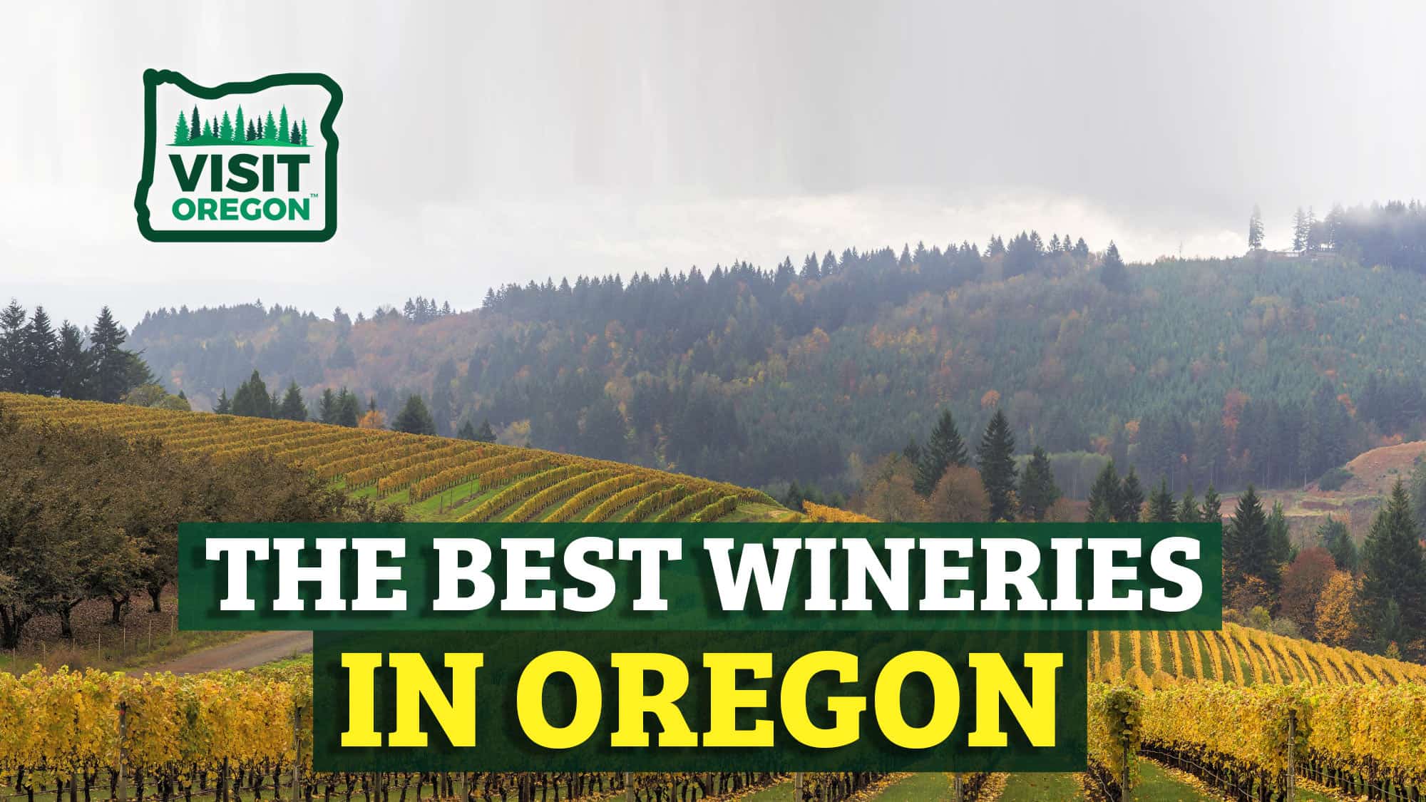 The best Wineries In Oregon