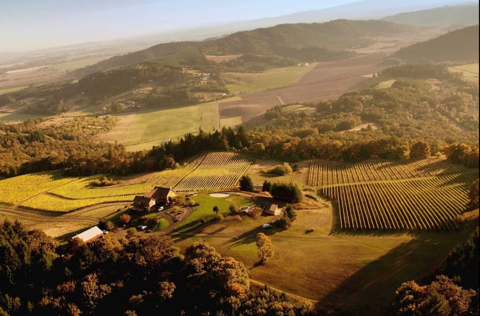 Youngberg Hill Inn & Winery