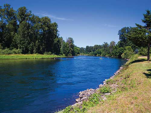 Springfield Oregon