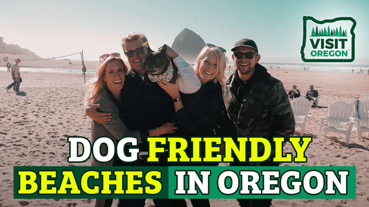 Dog Friendly Beaches in Oregon