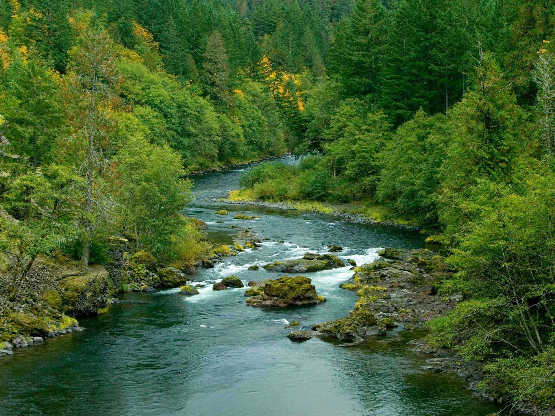 Estacada