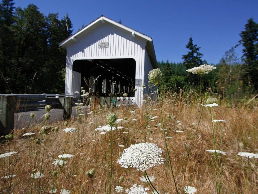 cottagegrove