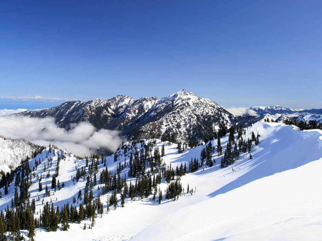 Mt. Angel