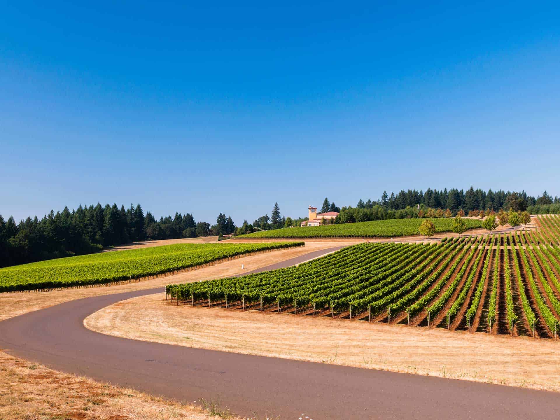 oregonwineries Visit Oregon