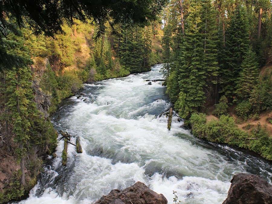 Benham Falls Hike Near Sunriver