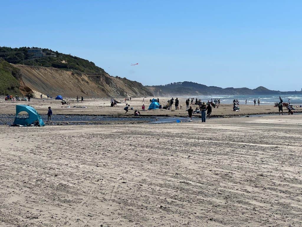 People Playing on Beverly Beach Oregon